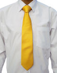 cravatta oro