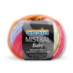 Immagine di MISTRAL BABY SESIA MULTICOLOR