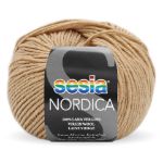 Immagine di NORDICA