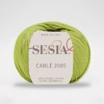 Immagine di SESIA CABLE 2005